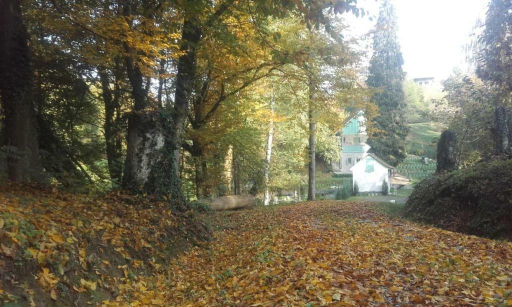 Vikendica Casa 